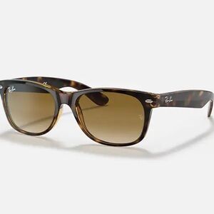 Ray-Ban Classic Tortoise Sunglasses